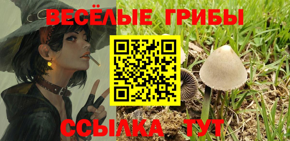 Псилоцибиновые грибы мицелий Йошкар-Ола